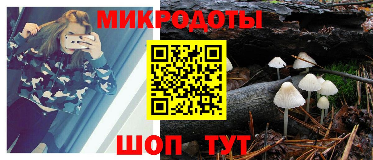 Карпинск  Галлюциногенные грибы прущие грибы  Вход с VPN 